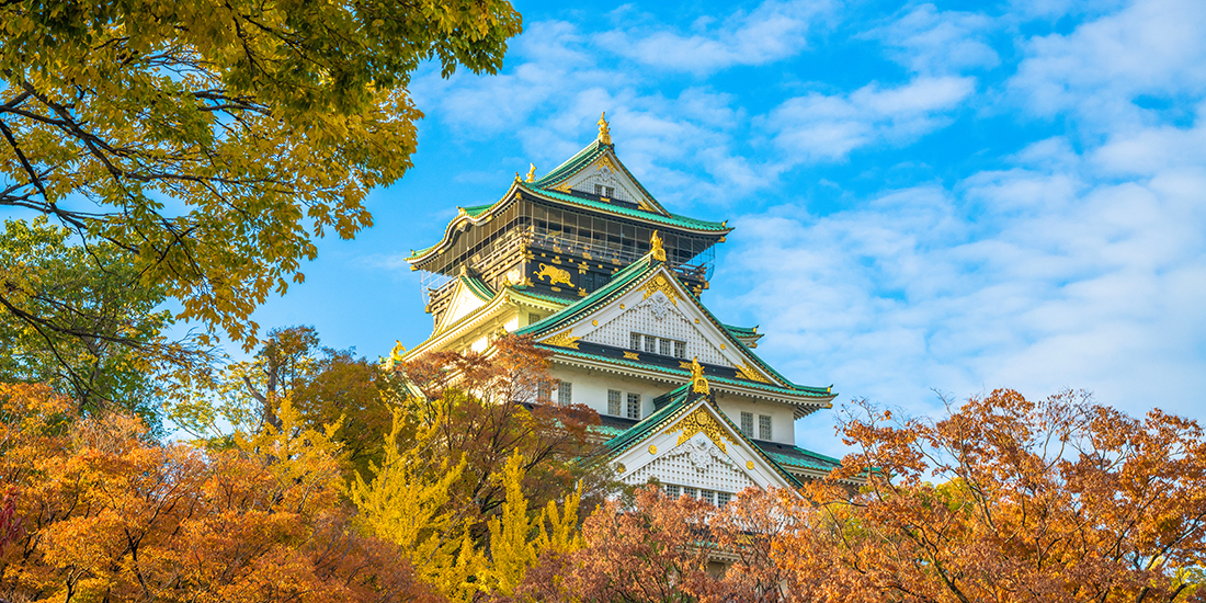 A-COE 2024 The 16th Asian Conference on Organic Electronics